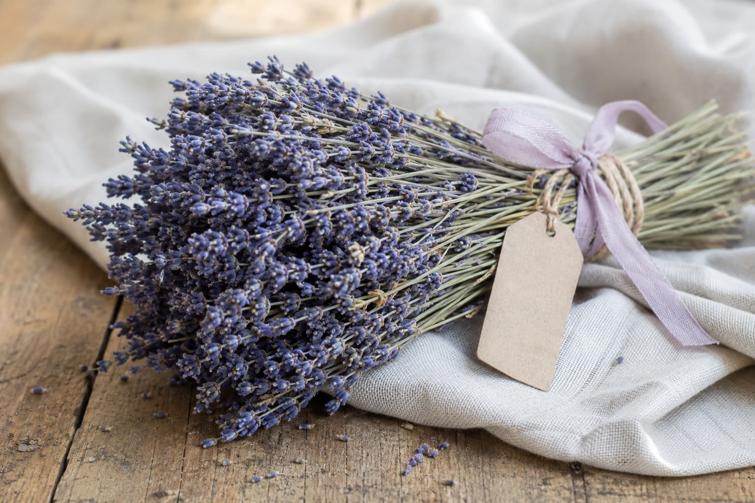 Illustration of a hand-tied dried lavender bundle finished with natural twine, ribbon, and a simple kraft paper tag.