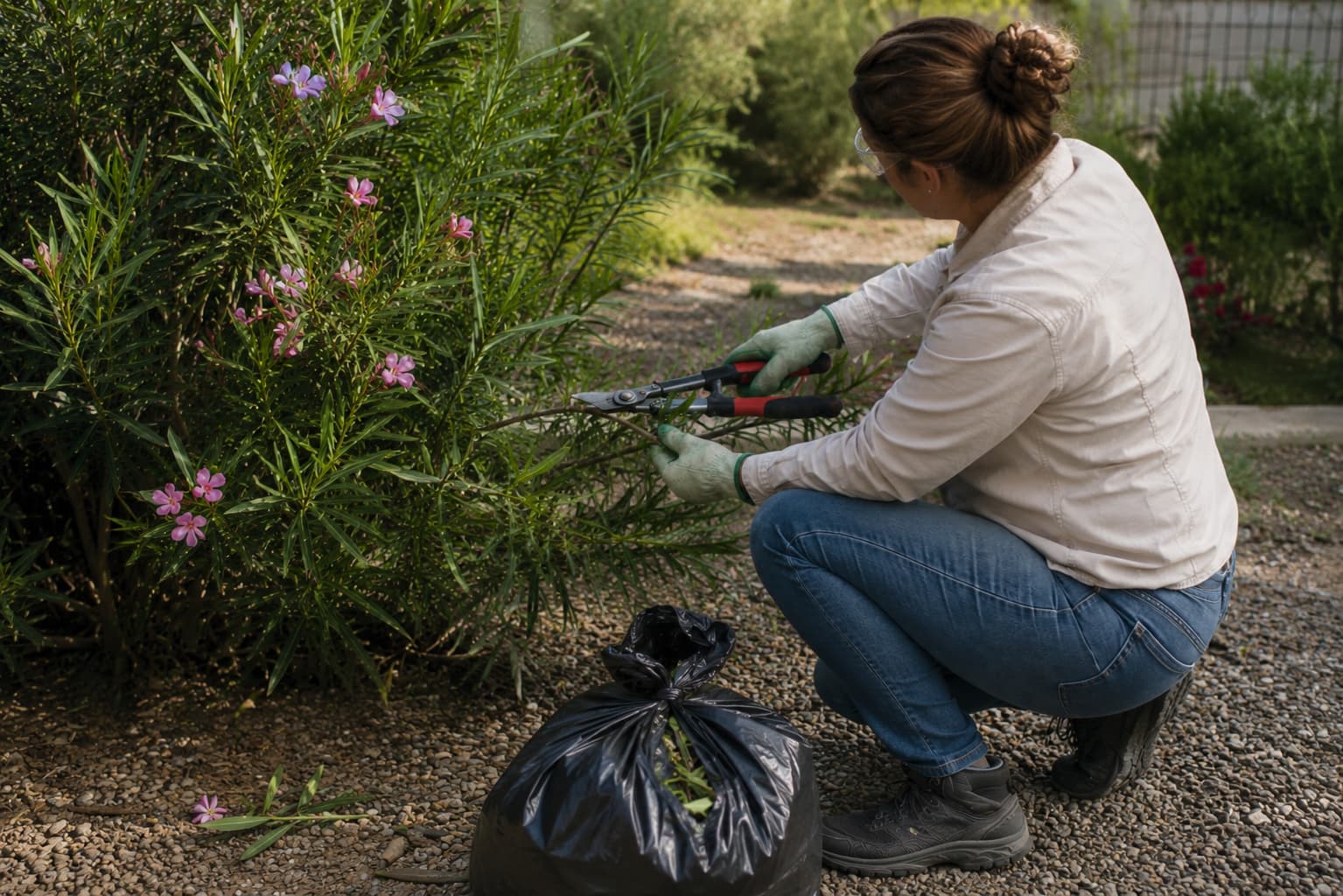 Illustration of a gardener wearing gloves, long sleeves, and eye protection while pruning oleander into a sealed waste bag.