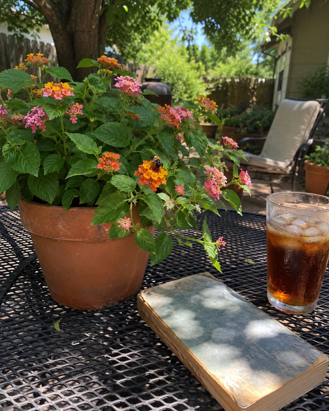 Illustration of colorful lantana flowers blooming in a sunny container garden for pollinators