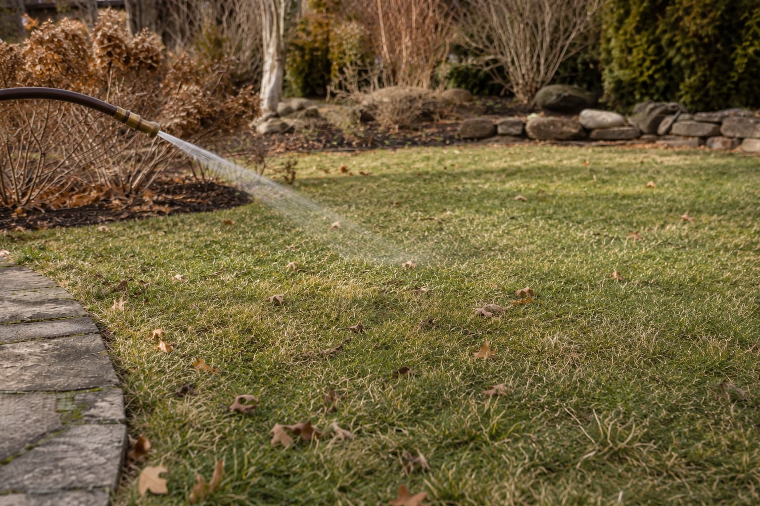 Late fall lawn being watered gently while the soil remains unfrozen and able to absorb moisture