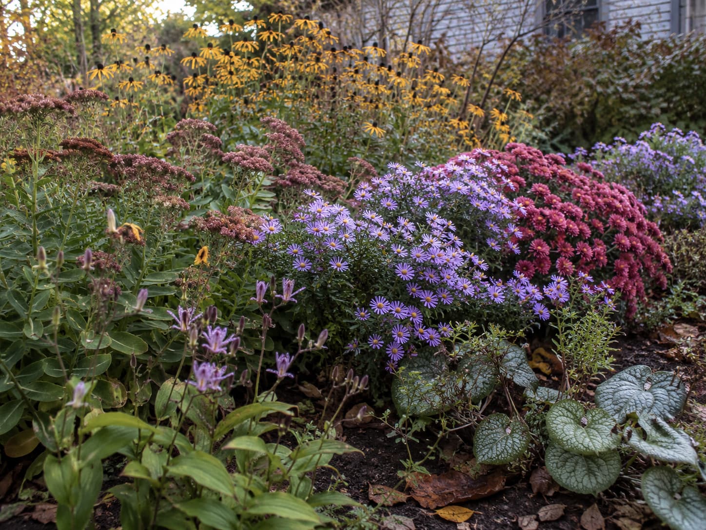 Late-season garden showing overlapping stages from black-eyed Susans and sedum to asters, mums, and toad lilies approaching frost.