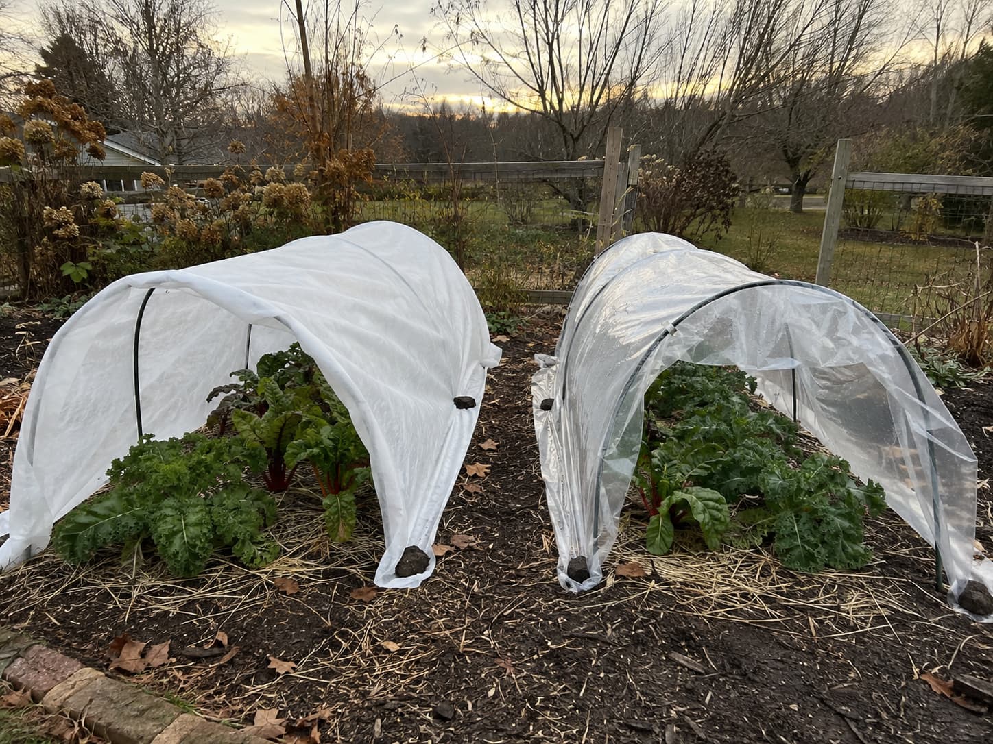 Comparison of properly supported frost fabric and plastic sheeting kept away from plant leaves during cold-weather protection.