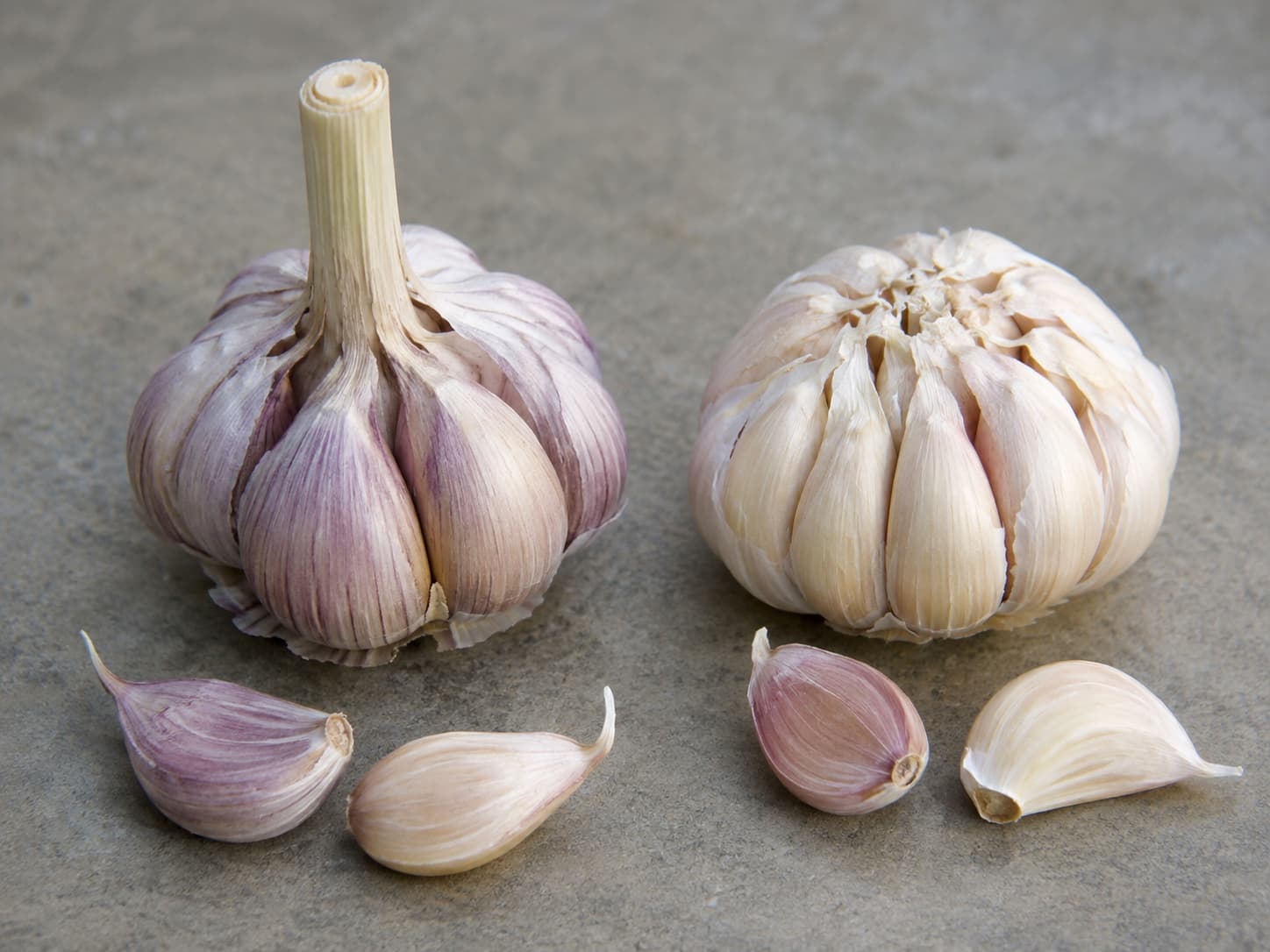 Hardneck and softneck garlic bulbs side by side showing differences in clove arrangement and central stem.