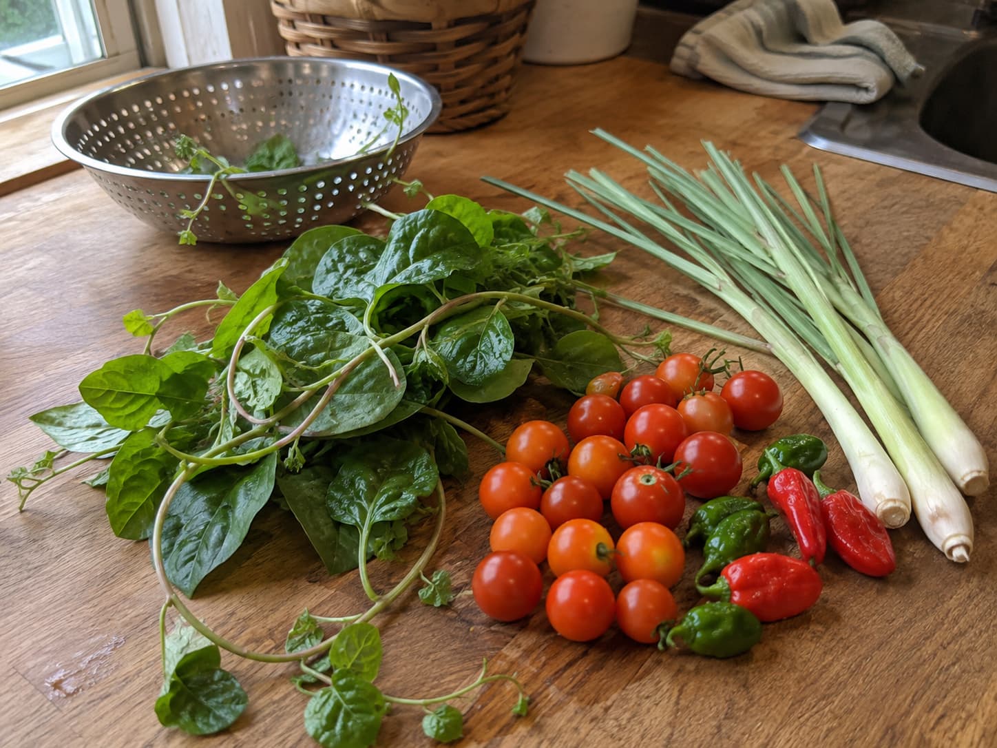 Small homegrown harvest of cherry tomatoes, peppers, leafy greens, and lemongrass on a kitchen work surface.